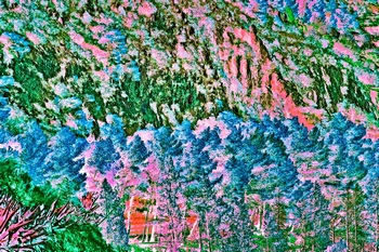 L 046C